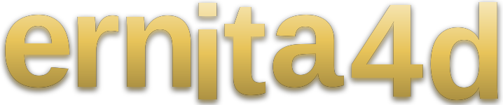 ernita4d logo
